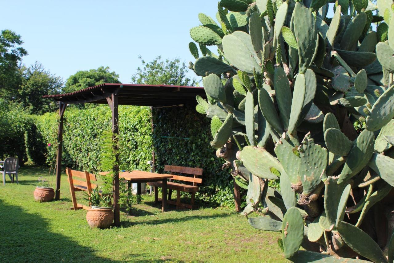 Il Giardino Degli Agrumi Caserte Extérieur photo