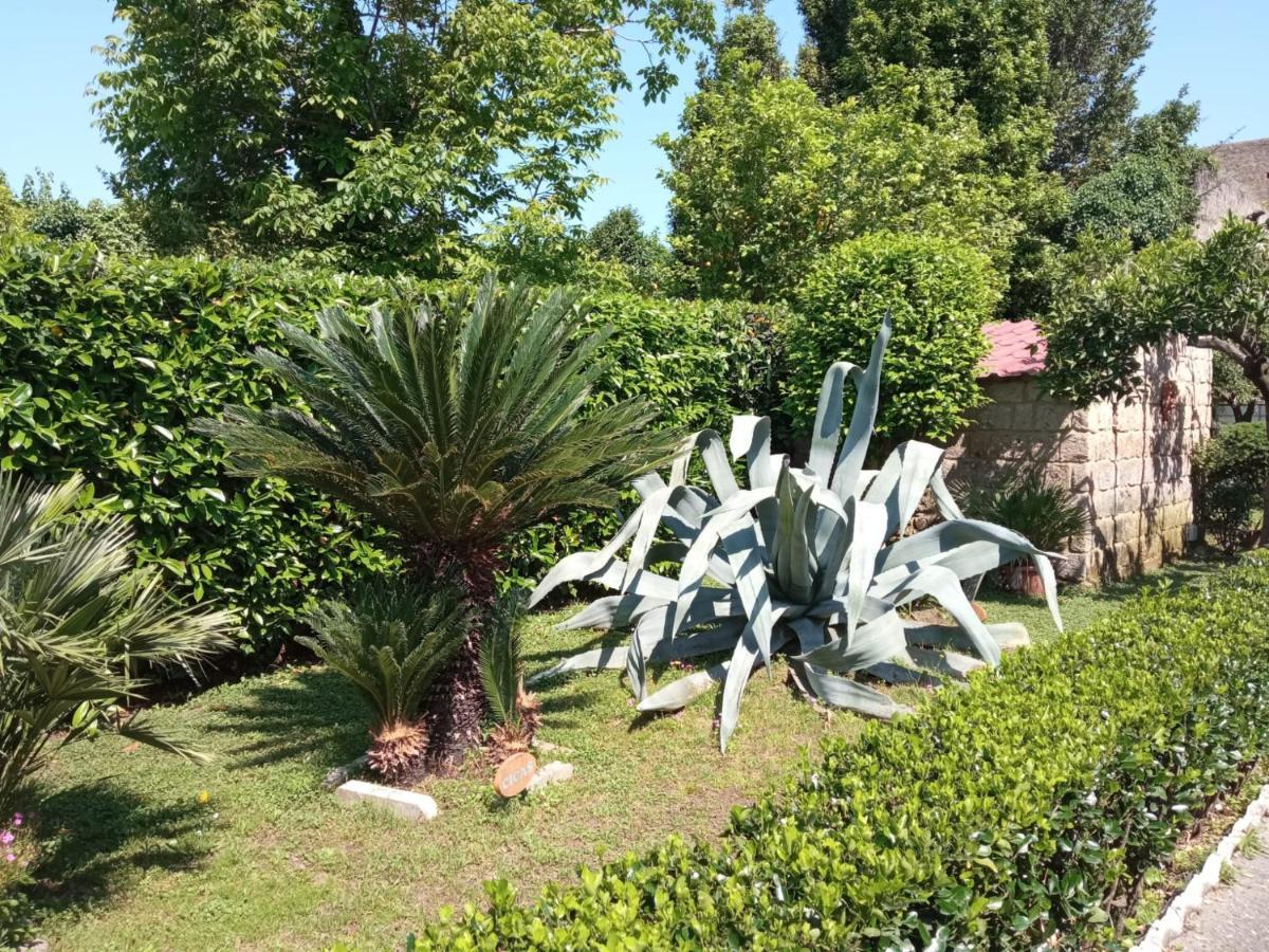 Il Giardino Degli Agrumi Caserte Extérieur photo