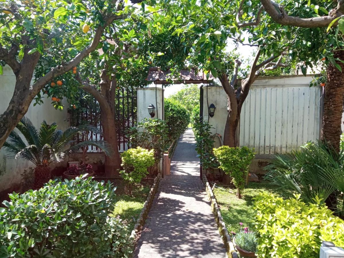 Il Giardino Degli Agrumi Caserte Extérieur photo