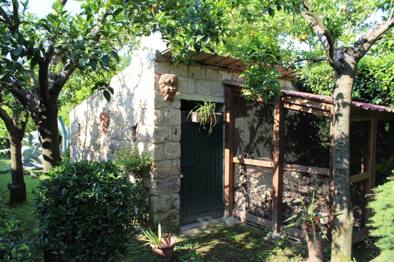 Il Giardino Degli Agrumi Caserte Extérieur photo
