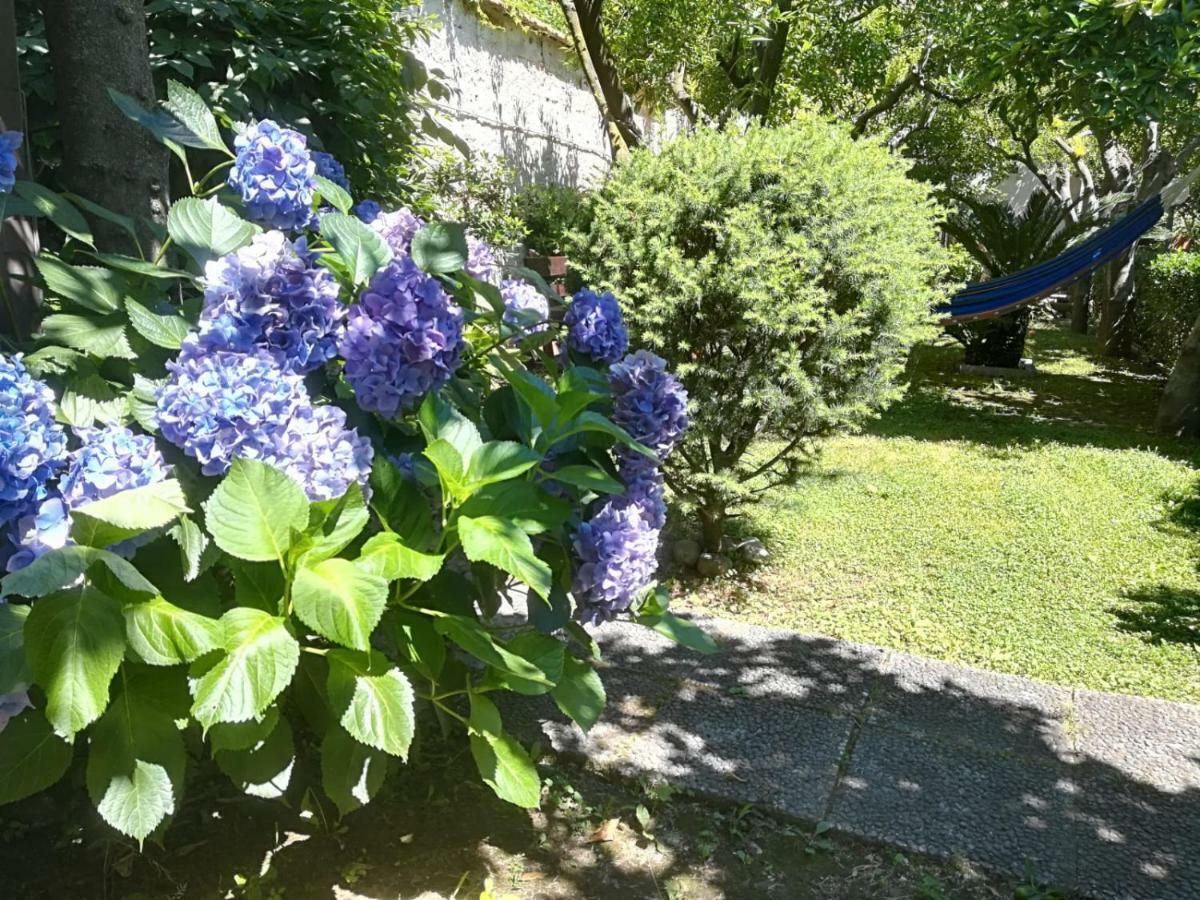 Il Giardino Degli Agrumi Caserte Extérieur photo